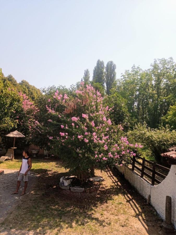 La Dama Con L'Ermellino B&B San Giovanni in Croce Exteriér fotografie